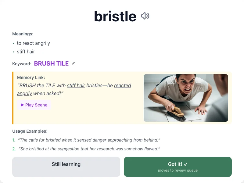 Bristle - meaning and memory mnemonic