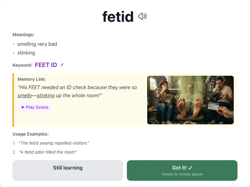 Fetid - meaning and memory mnemonic